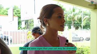 Expert Tips on Responsible Pet Ownership with Dr Bates  Cat Care 101 [upl. by Eimmak]