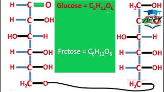 L2  Carbohydrates  Oligosaccharides  ch14  10th Chemistry [upl. by Nepean]