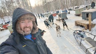 My Incredible Dog Sledding Experience In ALASKA  Mushing Thru The Snow Of Willow  Home Of Iditarod [upl. by Wassyngton]