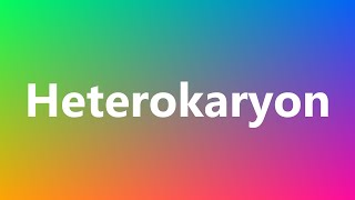 Heterokaryon  Medical Definition and Pronunciation [upl. by Ladonna]