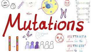 Types of Mutations  Changes in the Gene Pool  Genetic Drift  Biology 🧬 [upl. by Pauiie]