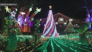 Zoo Lights at Lincoln Park Zoo to kick off its 29th year [upl. by Eisus]