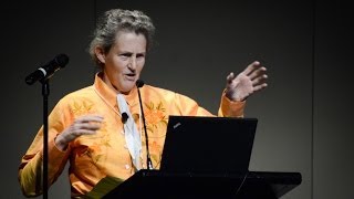 Temple Grandin quotThe Autistic Brainquot [upl. by Orvas]