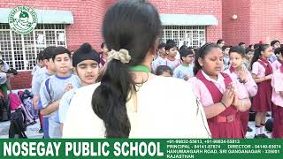 Nosegay Public School Sri Ganganagar  20242025 [upl. by Rehpotsirahc]