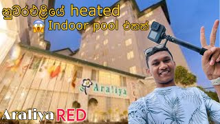 Nuwara Eliya sinhala vlog  Araliya red  නුවරඑළියෙත් pool බැස්ස එහෙනම් අපි 🥶❄️ [upl. by Editha]