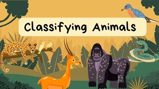 The Animal Song  Classifying Animals Learn Animals Kids Animal Songs [upl. by Kries]