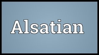 Alsatian Meaning [upl. by Yenitirb749]