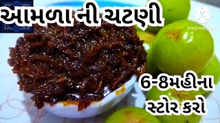 આમળા ની ચટણી બનાવવાની રીત  Amla Chatni In Gujarati  Amala Racipe Winter Racipe [upl. by Auburn]