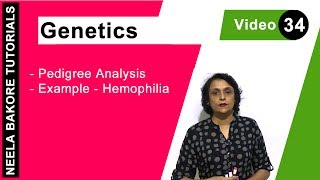 Genetics  Principles of Inheritance amp Variations  NEET  Pedigree Analysis  Example  Hemophilia [upl. by Grizelda289]