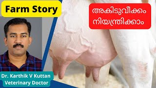 Mastitis treatment in cowAkidu veekkamMastitis Malayalam akiduveekkam farmstory [upl. by Willtrude]