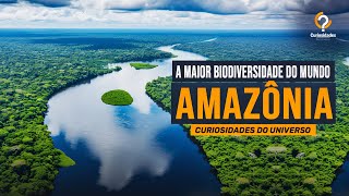 🌿 Floresta Amazônica  A Maior Biodivesidade do Mundo 🌍 [upl. by Nnylirak949]