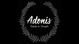 Setting up Adonis Command Permissions for specific Admin Ranks [upl. by Yatnahs]