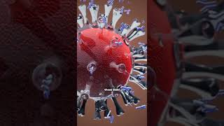 How vaccines work facts ytshorts health [upl. by Lebatsirc418]