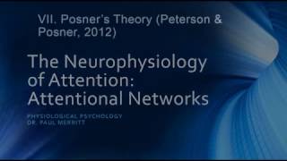 Neurophysiology of Attention Attention Networks [upl. by Cailean]