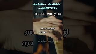 akale akale palli minaram  karaoke with lyrics  ajmalbasheerofficial music cover youtubeshorts [upl. by Haissi]