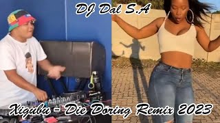 DJ Dal SA  Xigubu There Goes My BBM Die Doring Remix 2023 Mr90 Degrees In The Mix [upl. by Onateyac141]