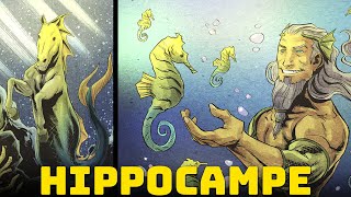 Hippocampe  Les Incroyables Hippocampes de la Mythologie Grecque [upl. by Nama]