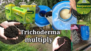 Trichoderma multiply  trichoderma bio fungicide [upl. by Howarth892]