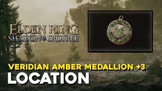 Elden Ring DLC Viridian Amber Medallion 3 Location [upl. by Iggem]