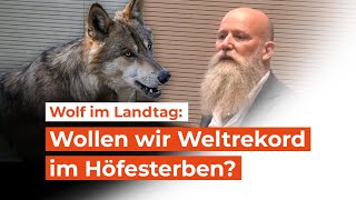 Wirth Anderlan Wer ist verantwortlich für BÄR und WOLF [upl. by Assyram]