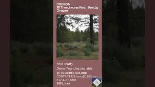 10 Treed acres Near Beatty Oregon Owner financing available mountainproperties buyland [upl. by Naashar]