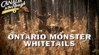 Ontario Monster Whitetails  Web Exclusive Mature Deer Hunt [upl. by Ahseya295]