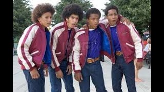 Roll Bounce Full Movie Fact Review amp Information  Bow Wow  Chi McBride [upl. by Wystand]