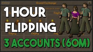 Flipping the Top 100 Most Traded Items On 3 Accounts  Flipping on 3 Accounts at OnceOSRS [upl. by Lapham]