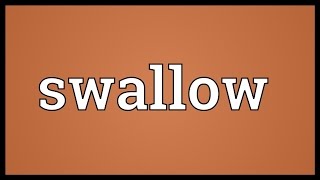 Swallow Meaning [upl. by Auqinal]