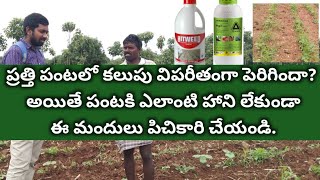 cotton post emergency herbicide  cotton easy weeding  ప్రత్తి పంటలో కలుపు మందు  pratti lo kalupu [upl. by Arhaz]