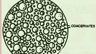 EvolutionOrigin of lifeL5 Protobiontscoacervates and microspheres class12th [upl. by Heti]