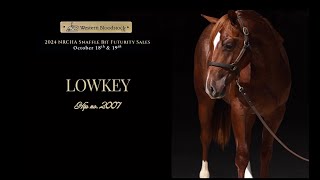 Lowkey  Hip no 2007 NRCHA Futurity Sale [upl. by Naehgem]