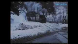 DDR Deutsche Reichsbahn Schmalspur Gernrode Harz Winter 1979 [upl. by Feodora]