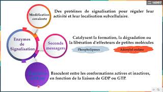 Leçon 10 Outils de la signalisation Intracellulaire 3  Enzymes [upl. by Windsor]