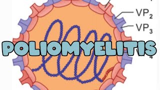 Poliomyelitis I pathogenesis  Lab diagnosis  vaccine [upl. by Svoboda]