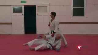 Bassai Dai Kata Bunkai Part 3 of 6 [upl. by Ervine]