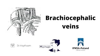 BrachioCephalic Veins  Left amp and Right  Course  tributaries  Relations  Location [upl. by Einner]