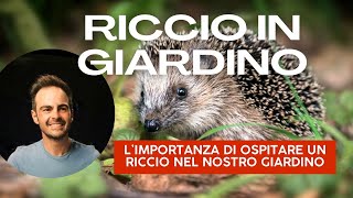 Ricci in giardino scopri perché ne hai bisogno [upl. by Elana]