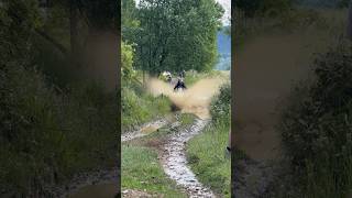 Tenere 700 Vs Deep Puddles check it out riders enduro adventuremotorcycle offroad [upl. by Koss]