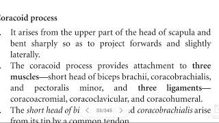 Coracoid process of scapula [upl. by Cortney]