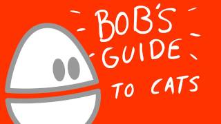 Bobs Guide To Cat Owning [upl. by Aziram]