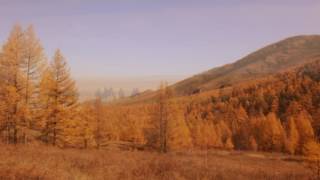 see mongolian nature of fall [upl. by Hoopes]