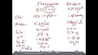 QUICK PATHOLOGY Transudate Vs Exudate pleural effusion [upl. by Arytas51]