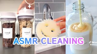 1 Hour ⏳ ASMR 🔊 CLEANING 🧼 RESTOCKING 🍉 ORGANIZING 🧃 TIKTOK COMPILATION ✨ SATISFYING 10 [upl. by Ardnola]