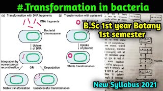 Genetic recombination in Bacteria  Transformation in Bacteria  BSc 1st year Botany 1st semester [upl. by Elamor]