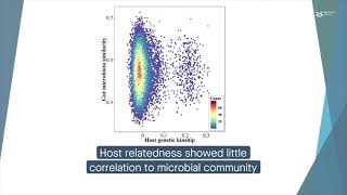 Host genetics and gut microbiota contribute to feed efficiency in chickens [upl. by Olodort]