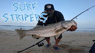 LAST MONTEREY BAY STRIPER OF THE SEASON FOR ME SURF CASTING [upl. by Hein]