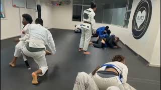 Puro Jiujitsu Especifico da montada [upl. by Tracy]