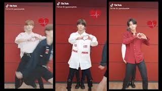 Stray Kids CPR Dance on Tiktok [upl. by Ankeny]