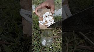 The ability to save soap from spoilage camping outdoors bushcraft survival sentohub skills [upl. by Nesahc154]